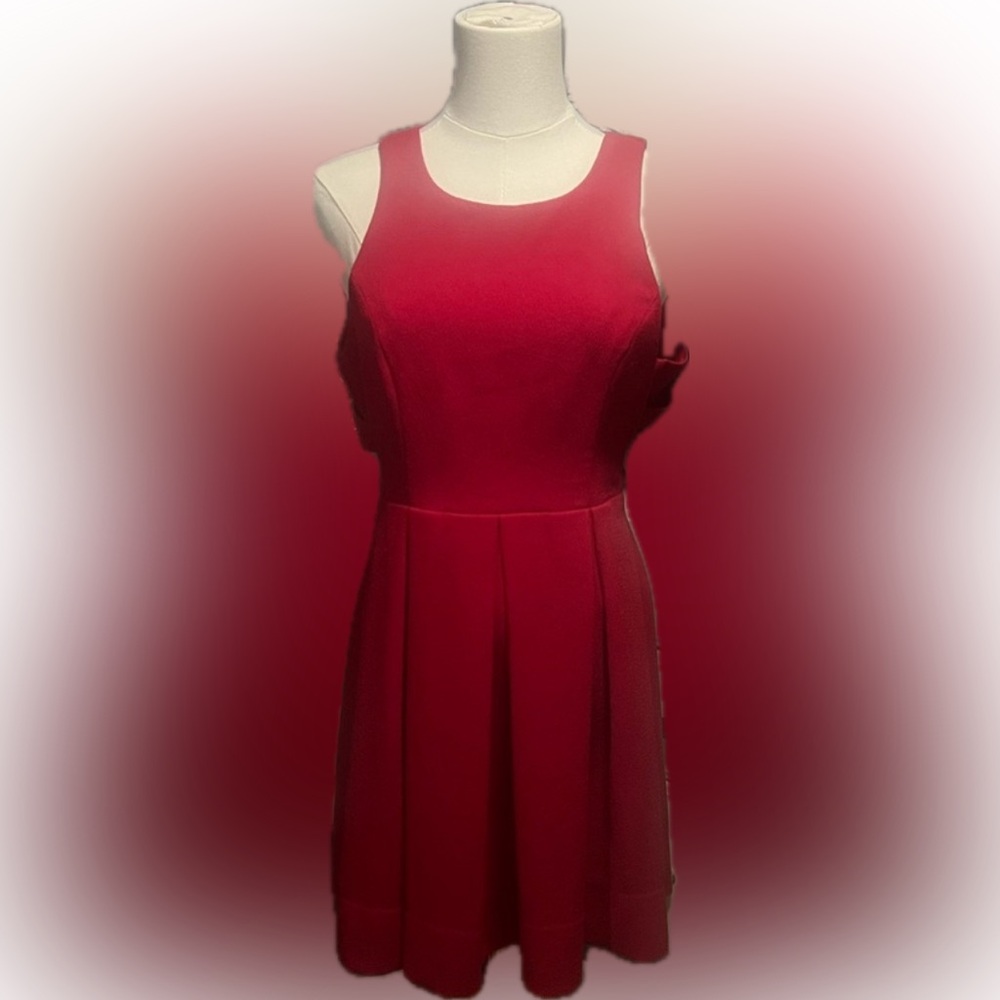 Lulu's Red Mini Dress